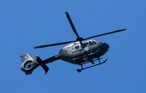 多圖直擊 俄美峰會前夕，瑞士部署4000安保力量，信息系統運維成關鍵保障